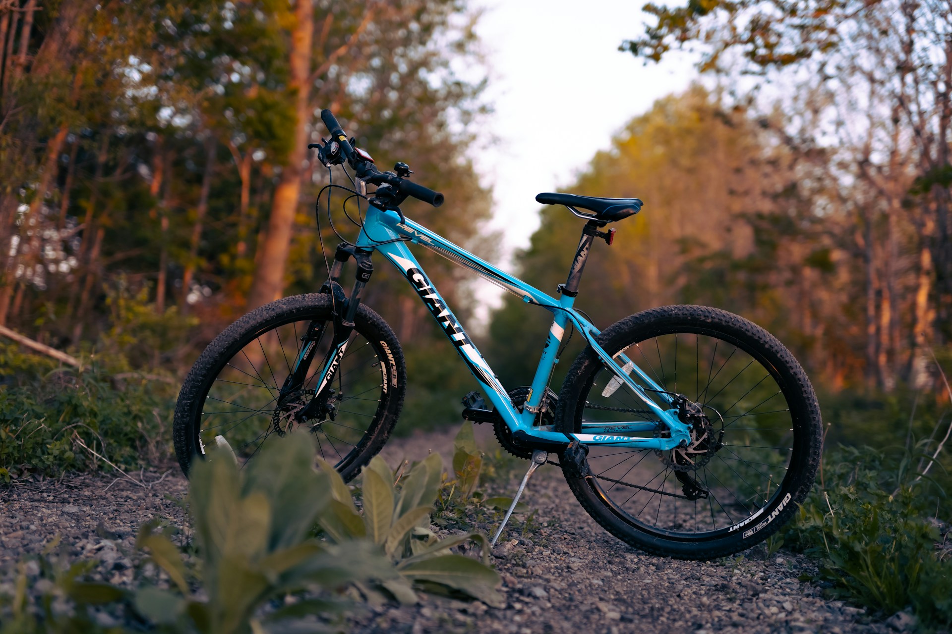 Hybrid Bikes